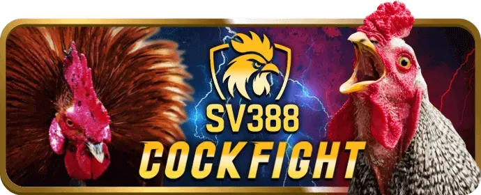 Đội ngũ chuyên nghiệp 8kbets