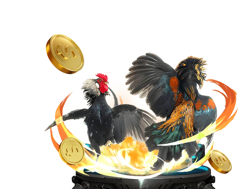 Casino trực tuyến 8kbets